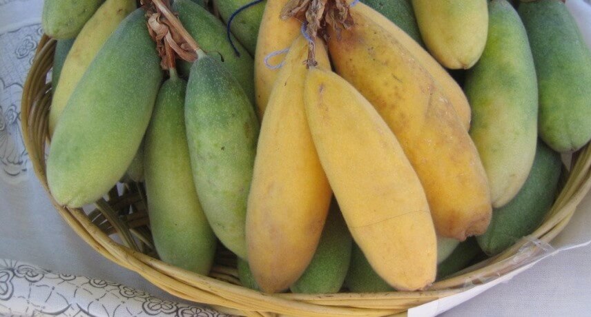 25 Frutos Típicos do Arquipélago da Madeira - Maracujá banana